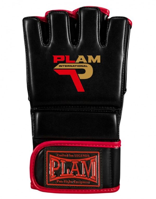 MMA Gloves