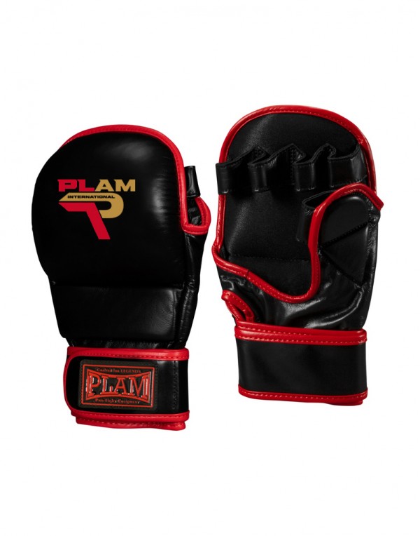 MMA Gloves