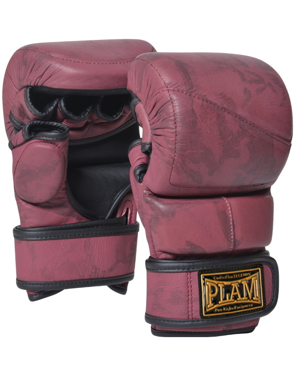 MMA Gloves