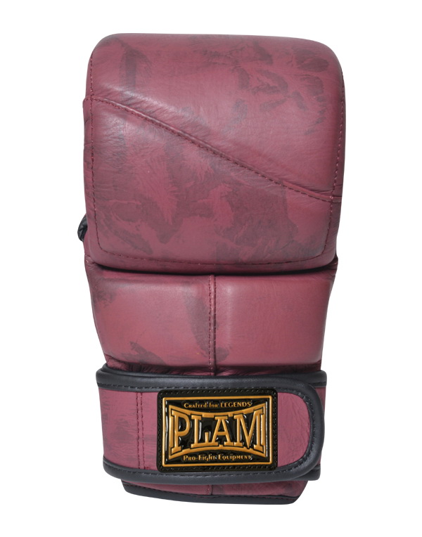 MMA Gloves