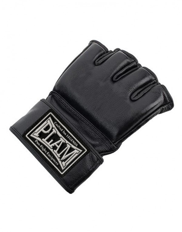 MMA Gloves