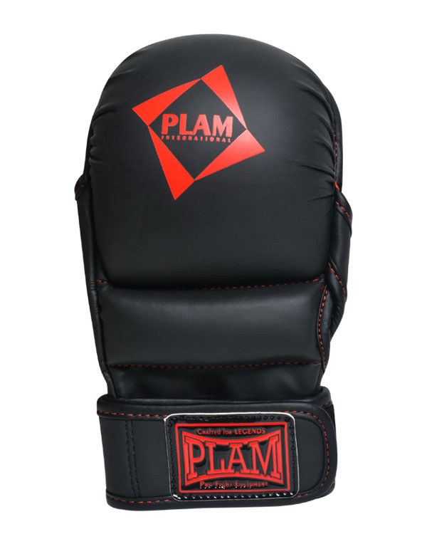 MMA Gloves